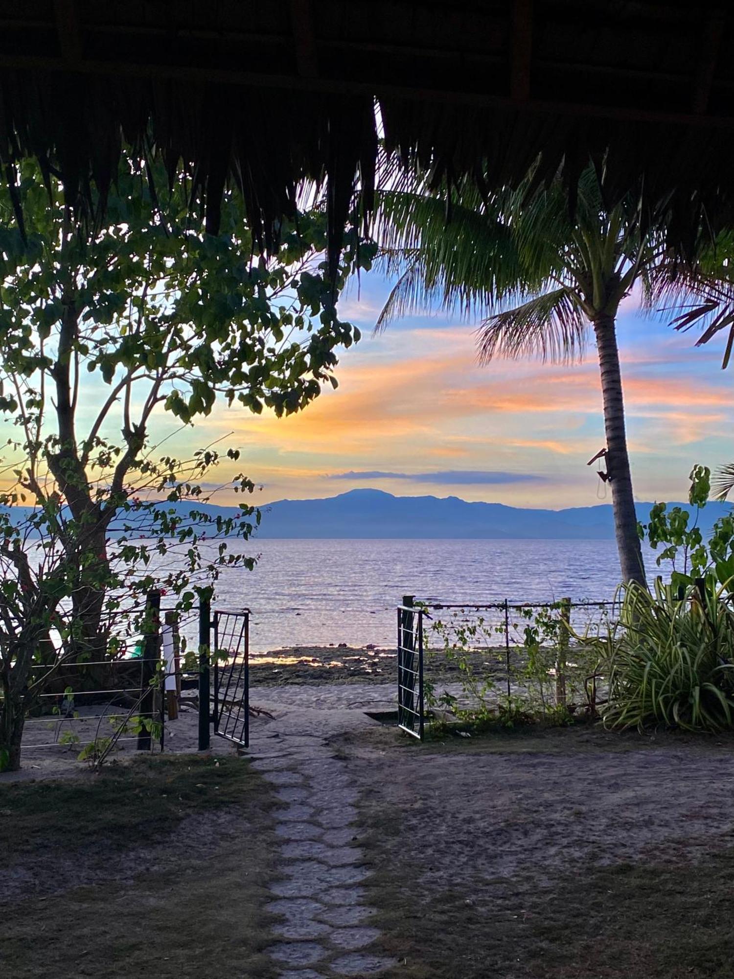 Ravenala Beach Bungalows Moalboal Exteriér fotografie